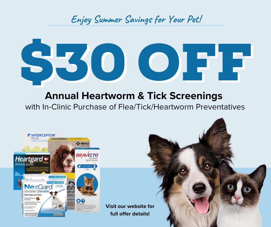 Promotions – Carter Pet Hospital